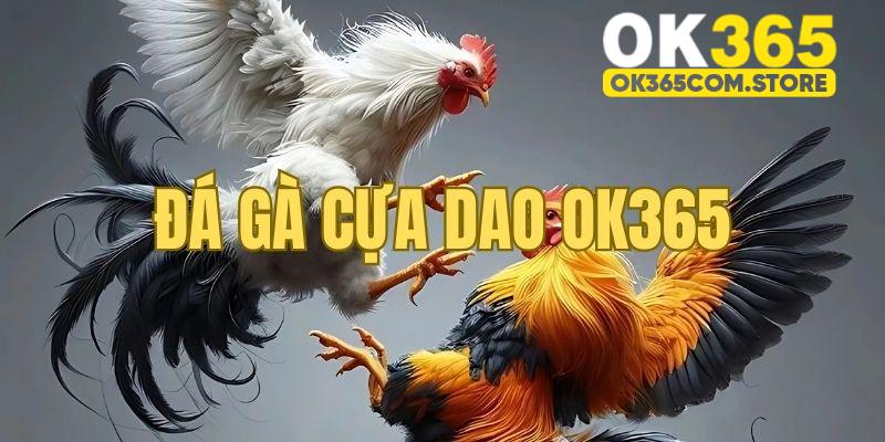 Đá gà cựa dao giải đấu uy tín và hấp dẫn nhất năm
